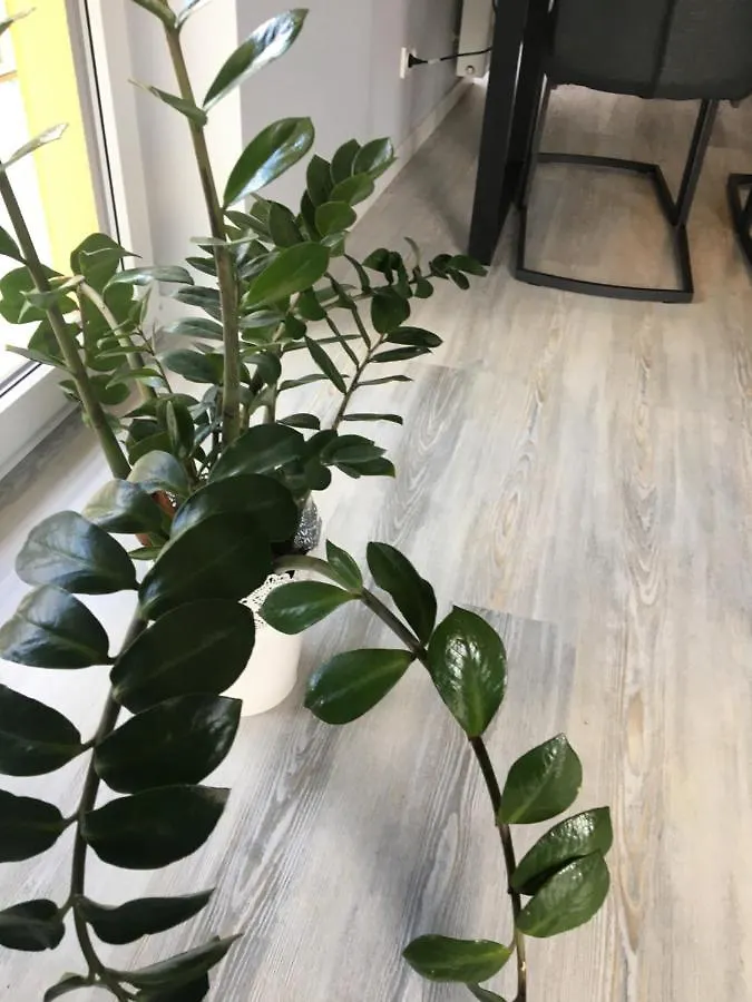 Soho Appartement Warschau